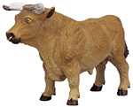 Jersey Bull.jpg